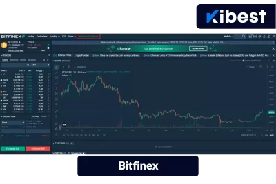 داشبوزد Bitfinex